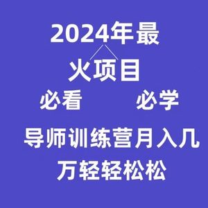 导师训练营互联网最牛逼的项目没有之一，新手小白必学，月入3万+轻轻松松