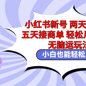 小红书新号两天涨千粉五天接商单轻松月入过万 无脑搬运玩法 小白也能轻…