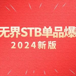 淘系 无界STB单品爆款课（2024）付费带动免费的核心逻辑，万相台无界关…