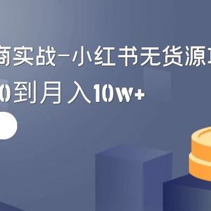 2024全新电商实战-小红书无货源项目：从0到1到100到月入10w+