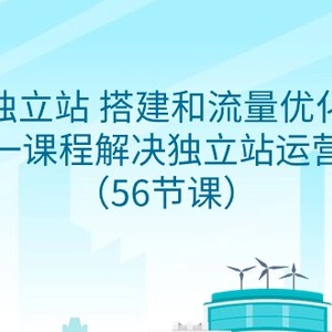 独立站 搭建和流量优化，三合一课程解决独立站运营问题（56节课）