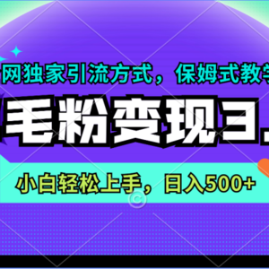 羊毛粉变现3.0 全网独家引流方式，小白轻松上手，日入500+