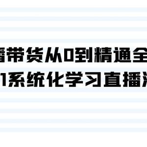 直播带货从0到精通全流程，0-1系统化学习直播流程（35节课）