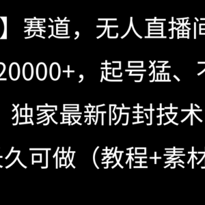 【冷门】赛道，无人直播间点广告，月入20000+，起号猛、不死号，独家最…