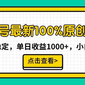 视频号最新100%原创玩法，收益稳定，单日收益1000+，小白专属