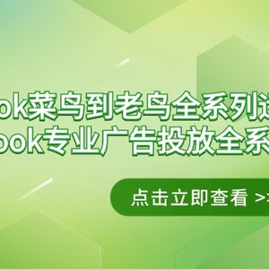 Facebook-菜鸟到老鸟全系列运营玩法+Facebook-专业广告投放全系列课程