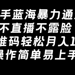 快手蓝海暴力通道，不直播不露脸，靠二维码轻松月入1W+，操作简单易上手