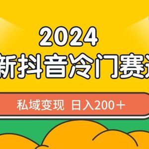 2024抖音最新冷门赛道，私域变现轻松日入200＋，作品制作简单，流量爆炸