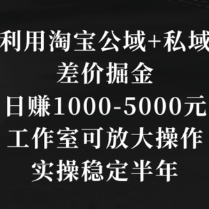 利用淘宝公域+私域差价掘金，日赚1000-5000元，工作室可放大操作，实操…