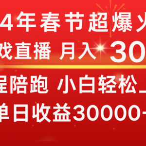 龙年2024过年期间，最爆火的项目 抓住机会 普通小白如何逆袭一个月收益30W+