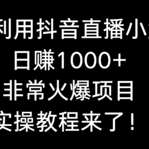 如何利用抖音直播小游戏日赚1000+，非常火爆项目，实操教程来了！