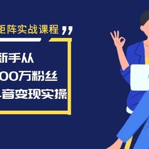 抖音矩阵实战课程：新手从0到100万粉丝，全套抖音变现实操