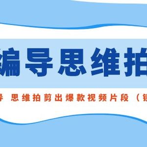 用编导的思维拍剪，教你用编导 思维拍剪出爆款视频片段（镜头语言）