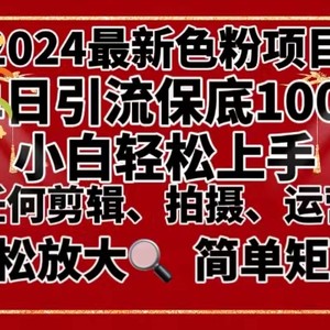 2024最新换脸项目，小白轻松上手，单号单月变现3W＋，可批量矩阵操作放大