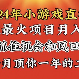 2024年寒假爆火项目，小游戏直播月入20w+，学会了之后你将翻身