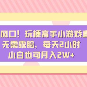 假期风口！玩梗高手小游戏直播，无需露脸，每天2小时，小白也可月入2W+