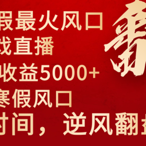 2024年最火寒假风口项目 小游戏直播 单场收益5000+抓住风口 一个月直接提车