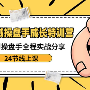 电商私域-操盘手成长特训营：从小白到操盘手全程实战分享-24节线上课