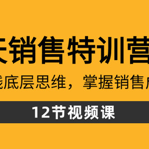 28天·销售特训营5期：了解赚钱底层思维，掌握销售成交密码（12节课）