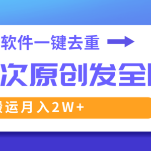 这款软件深度去重、轻松过原创，一个视频全网分发，靠搬运月入2W+