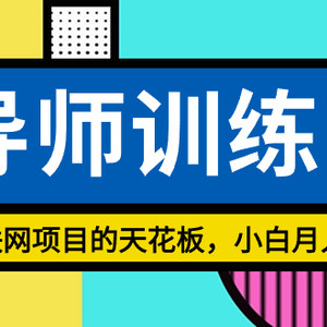 《导师训练营》互联网项目的天花板，小白月入2w