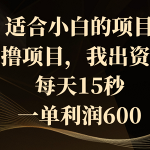 适合小白的项目，0撸项目，我出资金，每天15秒，一单利润600