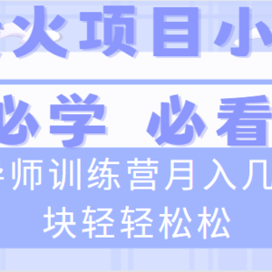 导师训练营互联网最牛逼的项目没有之一，新手小白必学，月入2万+轻轻松松