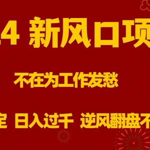 2024新风口项目，不在为工作发愁，长期稳定，日入过千 逆风翻盘不是梦