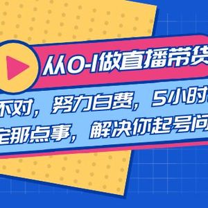 教您从0-1做直播带货：选择不对，努力白费，5小时课程搞定那点事，解决…