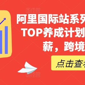 阿里国际站系列课，运营TOP养成计划，升职加薪，跨境掘金