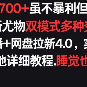 每天稳定700+，收益不高但贵在真实，创新尤物双模式多渠种变现，快手无人挂播+网盘拉新4.0