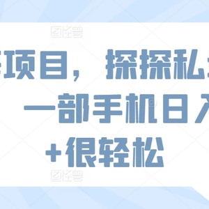 蓝海项目，探探私域新玩法，一部手机日入500+很轻松