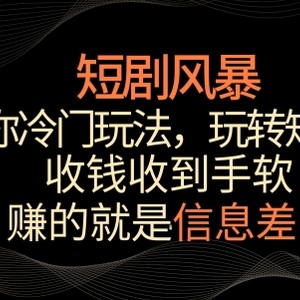 短剧风暴，教你冷门玩法，玩转短剧，收钱收到手软