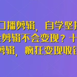 博主口播剪辑，自学坚持不下去？会剪辑不会变现？十天学会剪辑，疯狂变现收钱!