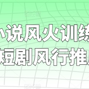 短剧+小说风火训练营，0粉短剧风行推广