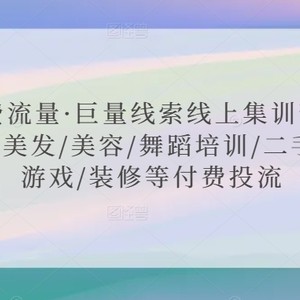 付费流量·巨量线索线上集训营课程，美发/美容/舞蹈培训/二手车/游戏/装修等付费投流