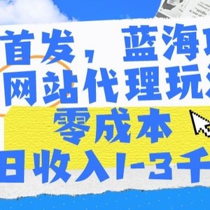 全网首发，蓝海项目，AI网站代理玩法，零成本日收入1-3千+