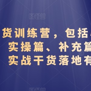 视频号带货训练营，包括心理篇、准备篇、实操篇、补充篇、答疑篇，实战干货落地有效