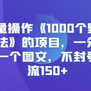 快手批量操作《1000个野路子信息差玩法》的项目，一分钟做一个视频一个图文，不封号，日引流150+