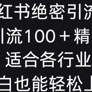 小红书绝密引流术，一天引流100+精准流量，适合各个行业，小白也能轻松上手