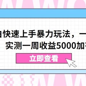 视频号小白快速上手暴力玩法，一部手机，一条视频，实测一周收益5000加有手就行