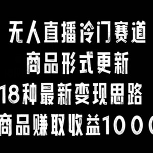 无人直播冷门赛道，商品形式更新，18种变现思路，一件商品赚取收益10000+