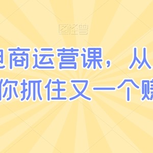 小红书电商运营课，从入门到精通，带你抓住又一个赚钱风口