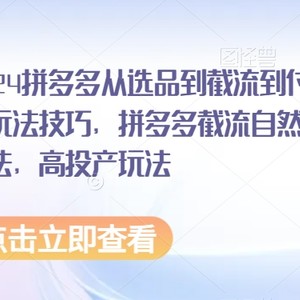 2024拼多多从选品到截流到付费的玩法技巧，拼多多截流自然流量玩法，高投产玩法