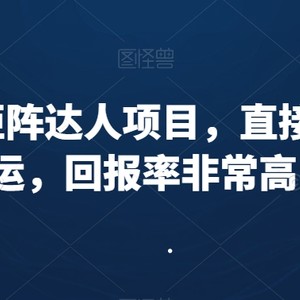 小红书矩阵达人项目，直接复制搬运，回报率非常高