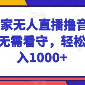 2024独家无人直播撸音浪，收益稳定无需看守，轻松上手日入1000+