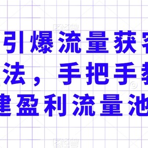 实体店引爆流量获客技术实操方法，手把手教你搭建盈利流量池，让你的生意客户裂变渠道裂变