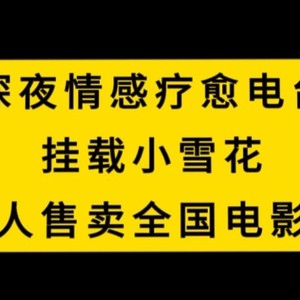 深夜情感疗愈电台，挂载小雪花，无人售卖全国电影票