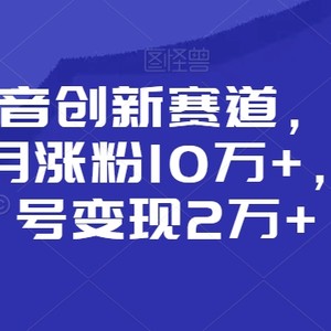 靠做抖音创新赛道，小白也能一个月涨粉10万+，回收账号变现2万+