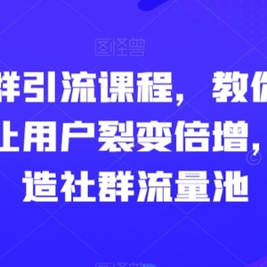 玩转社群引流课程，教你怎么玩社群，让用户裂变倍增，轻松打造社群流量池